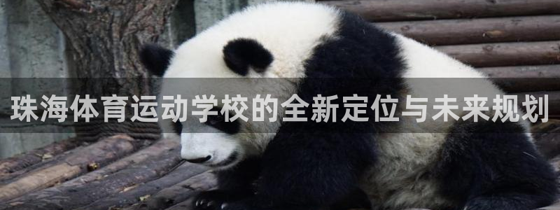 球王会体育