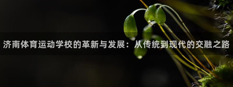 球王会体育