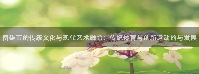 球王会体育：南雄市的传统文化与现代艺术融合：传统体育与创新运动的与发展