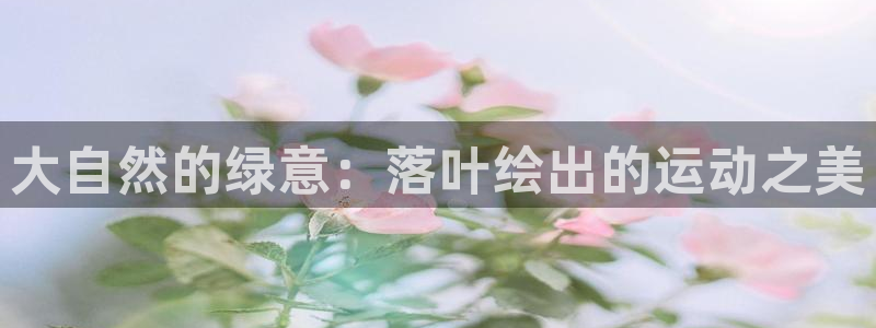 球王会体育：大自然的绿意：落叶绘出的运动之美