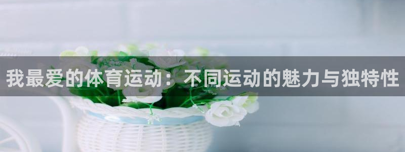 球王会体育：我最爱的体育运动：不同运动的魅力与独特性