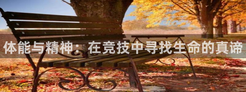 球王会体育：体能与精神：在竞技中寻找生命的真谛