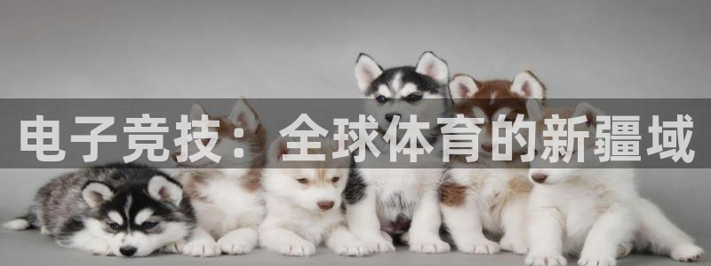球王会体育