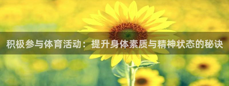球王会体育
