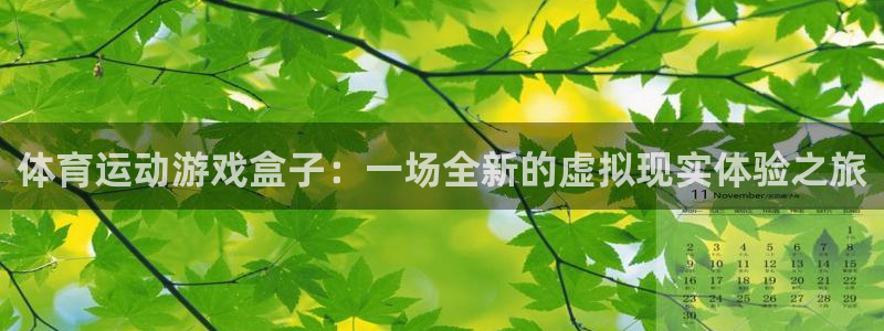 球王会体育