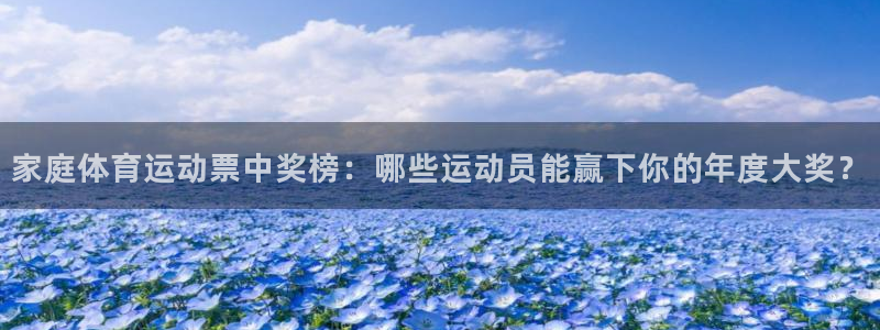 球王会体育：家庭体育运动票中奖榜：哪些运动员能赢下你的年度大奖？