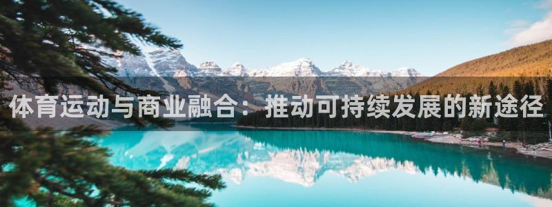 球王会体育：体育运动与商业融合：推动可持续发展的新途径