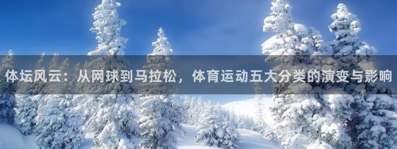 球王会体育