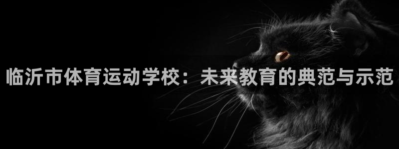 球王会体育