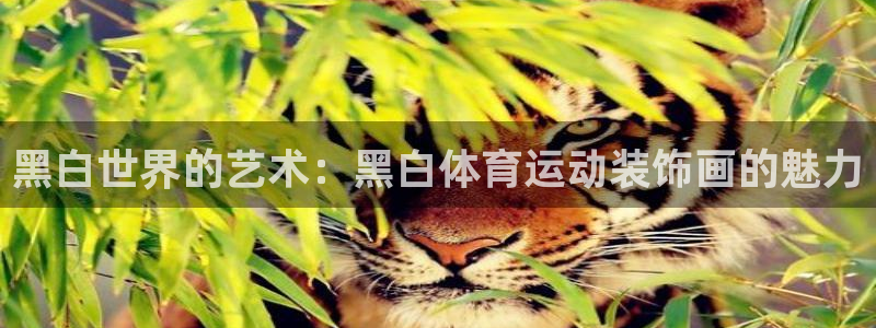 球王会体育：黑白世界的艺术：黑白体育运动装饰画的魅力