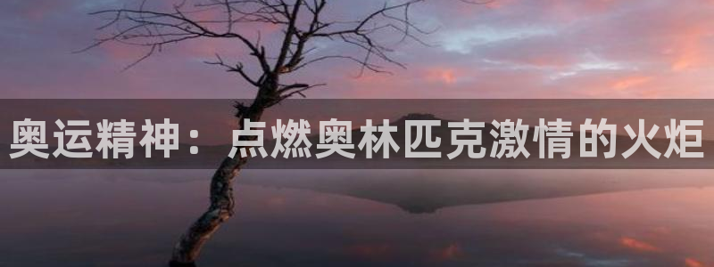 球王会体育：奥运精神：点燃奥林匹克激情的火炬