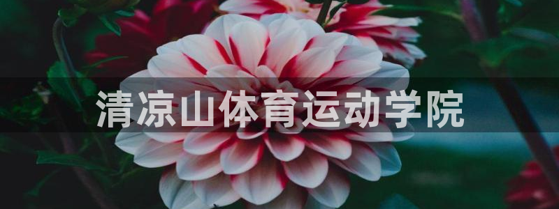 球王会体育：清凉山体育运动学院
